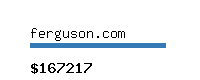 ferguson.com Website value calculator