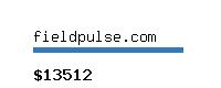 fieldpulse.com Website value calculator
