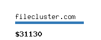 filecluster.com Website value calculator