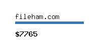 fileham.com Website value calculator