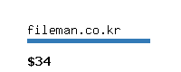 fileman.co.kr Website value calculator