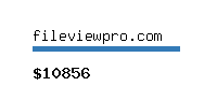 fileviewpro.com Website value calculator