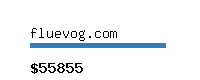 fluevog.com Website value calculator