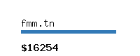 fmm.tn Website value calculator