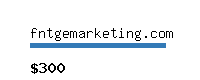 fntgemarketing.com Website value calculator