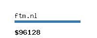 ftm.nl Website value calculator