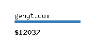 genyt.com Website value calculator