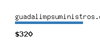 guadalimpsuministros.com Website value calculator