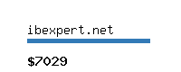 ibexpert.net Website value calculator