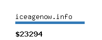 iceagenow.info Website value calculator