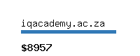 iqacademy.ac.za Website value calculator