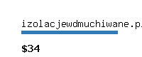 izolacjewdmuchiwane.pl Website value calculator