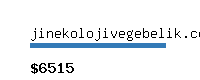 jinekolojivegebelik.com Website value calculator