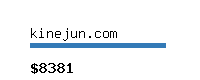 kinejun.com Website value calculator