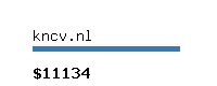 kncv.nl Website value calculator