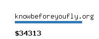 knowbeforeyoufly.org Website value calculator