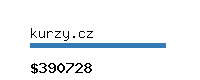 kurzy.cz Website value calculator