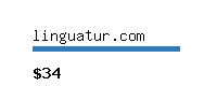 linguatur.com Website value calculator