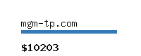 mgm-tp.com Website value calculator