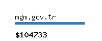 mgm.gov.tr Website value calculator