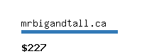 mrbigandtall.ca Website value calculator