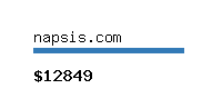 napsis.com Website value calculator