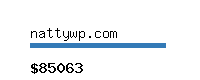nattywp.com Website value calculator