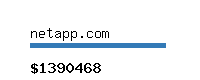 netapp.com Website value calculator