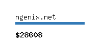 ngenix.net Website value calculator