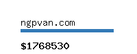 ngpvan.com Website value calculator