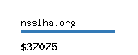 nsslha.org Website value calculator