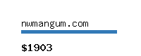 nwmangum.com Website value calculator