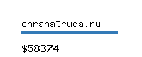 ohranatruda.ru Website value calculator