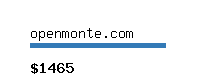 openmonte.com Website value calculator
