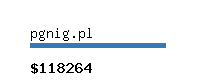 pgnig.pl Website value calculator