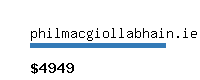 philmacgiollabhain.ie Website value calculator