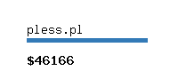 pless.pl Website value calculator