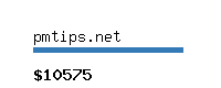 pmtips.net Website value calculator