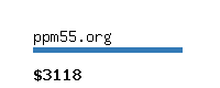 ppm55.org Website value calculator