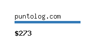 puntolog.com Website value calculator
