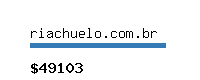 riachuelo.com.br Website value calculator