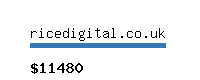 ricedigital.co.uk Website value calculator