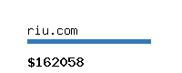 riu.com Website value calculator