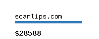 scantips.com Website value calculator