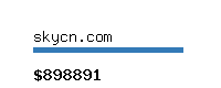 skycn.com Website value calculator