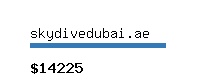 skydivedubai.ae Website value calculator