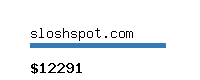 sloshspot.com Website value calculator