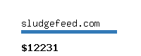 sludgefeed.com Website value calculator