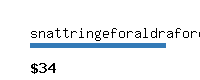 snattringeforaldraforening.se Website value calculator