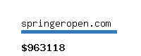 springeropen.com Website value calculator